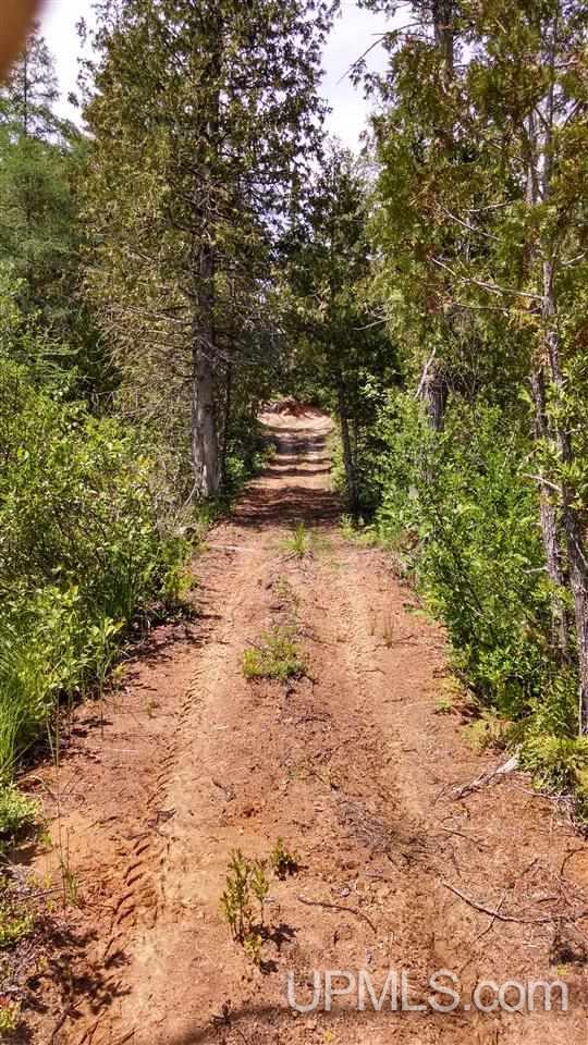 N1766 Old Plank Road Wetmore, MI 49895 - Photo 17 of 25