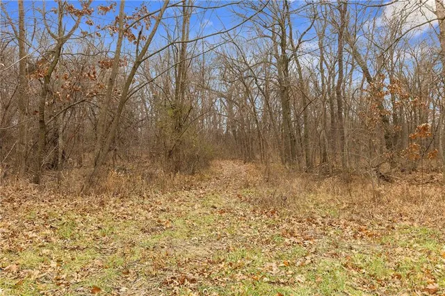 $635,000 | 13263 A Northeast County Road 23, Adrian, MO 64720