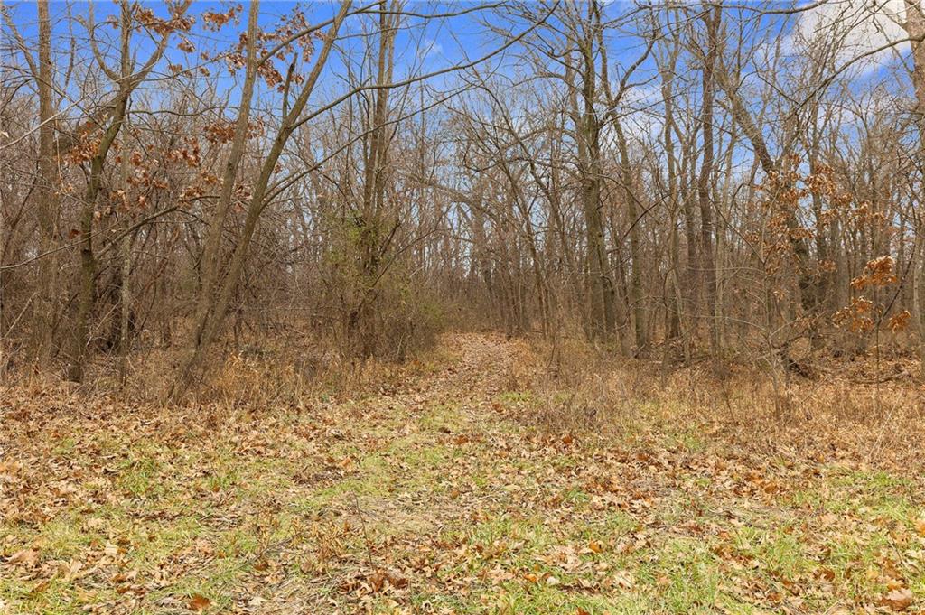 13263 A Northeast County Road 23 Adrian, MO 64720 - Photo 60 of 85