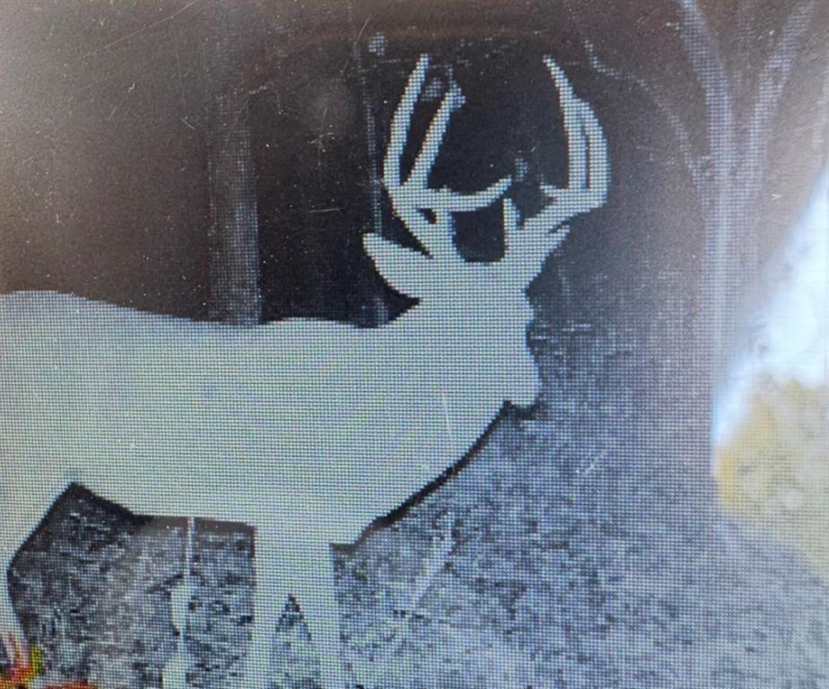 13263 A Northeast County Road 23 Adrian, MO 64720 - Photo 84 of 85