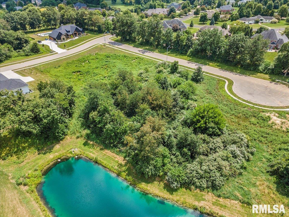 3505 Blue Heron Court Springfield, IL 62711 - Photo 5 of 8