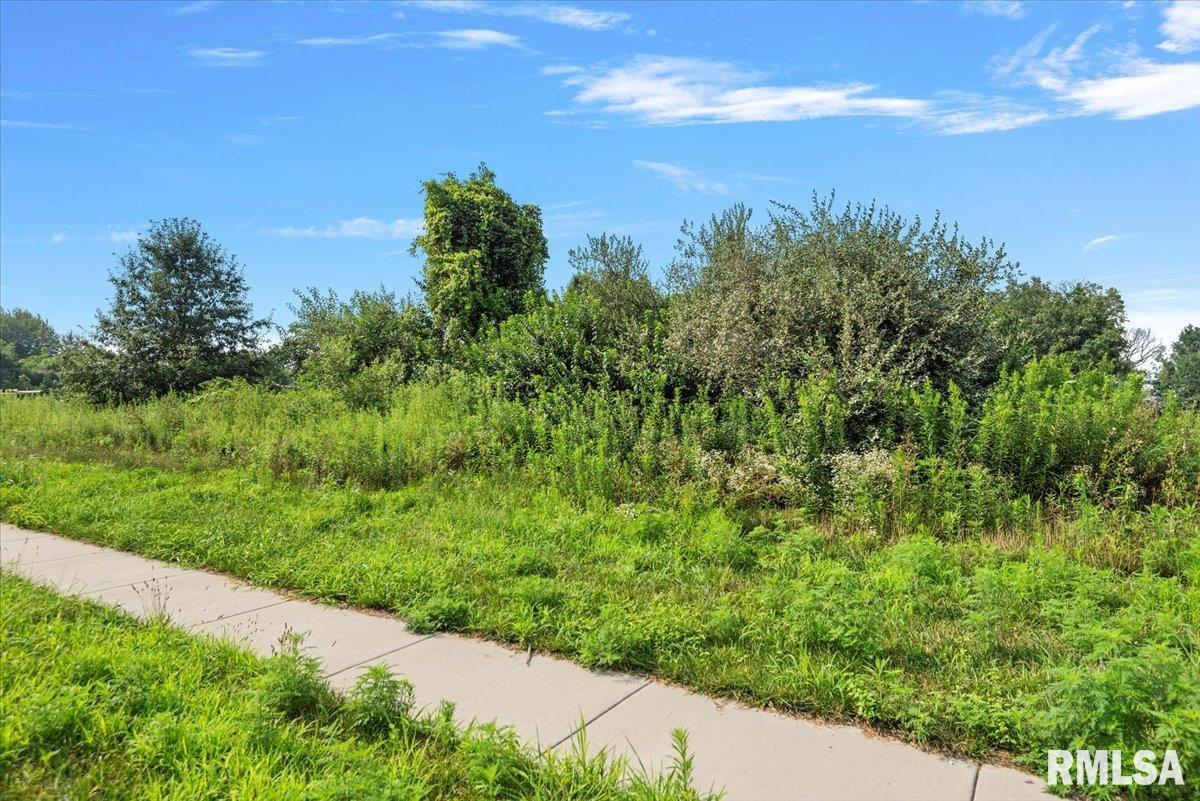 3505 Blue Heron Court Springfield, IL 62711 - Photo 7 of 8