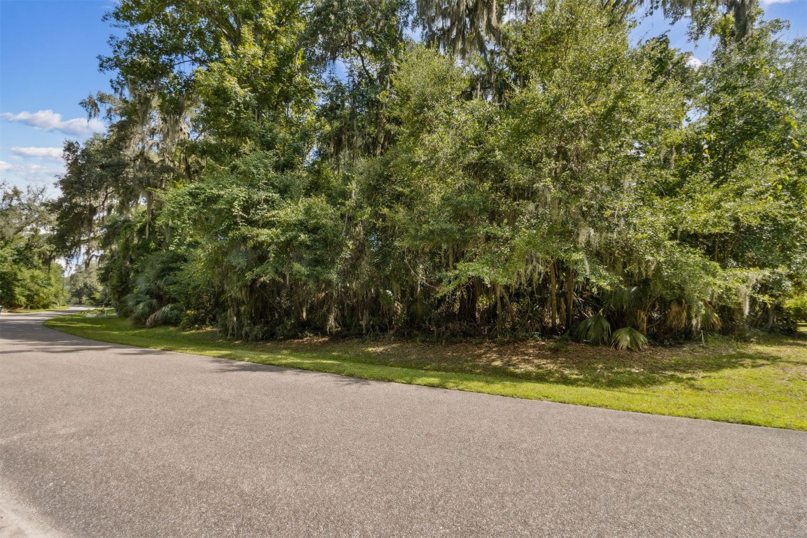95164 Shell Midden Lane Fernandina Beach, FL 32034 - Photo 2 of 28 a view of a golf course with a house