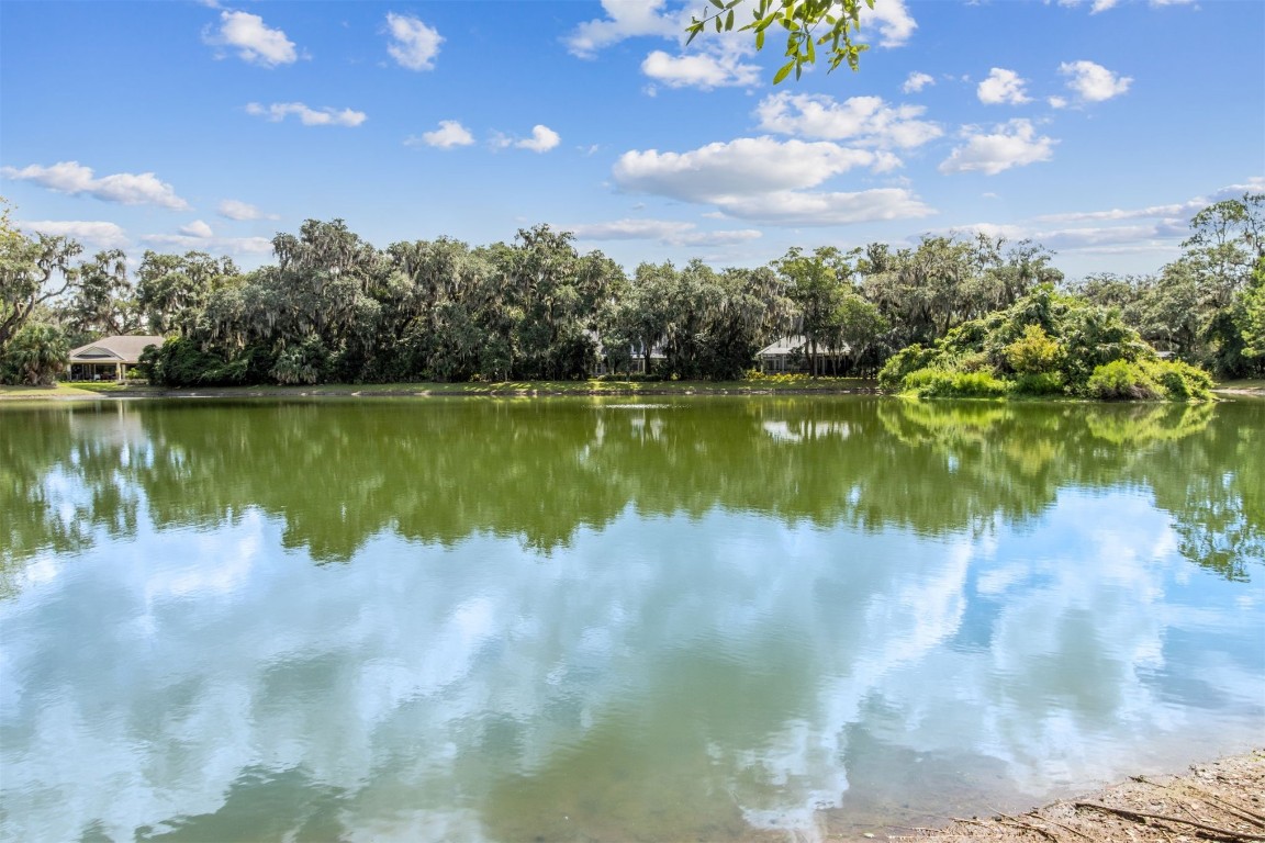 95164 Shell Midden Lane Fernandina Beach, FL 32034 - Photo 4 of 28 a view of a lake from a yard