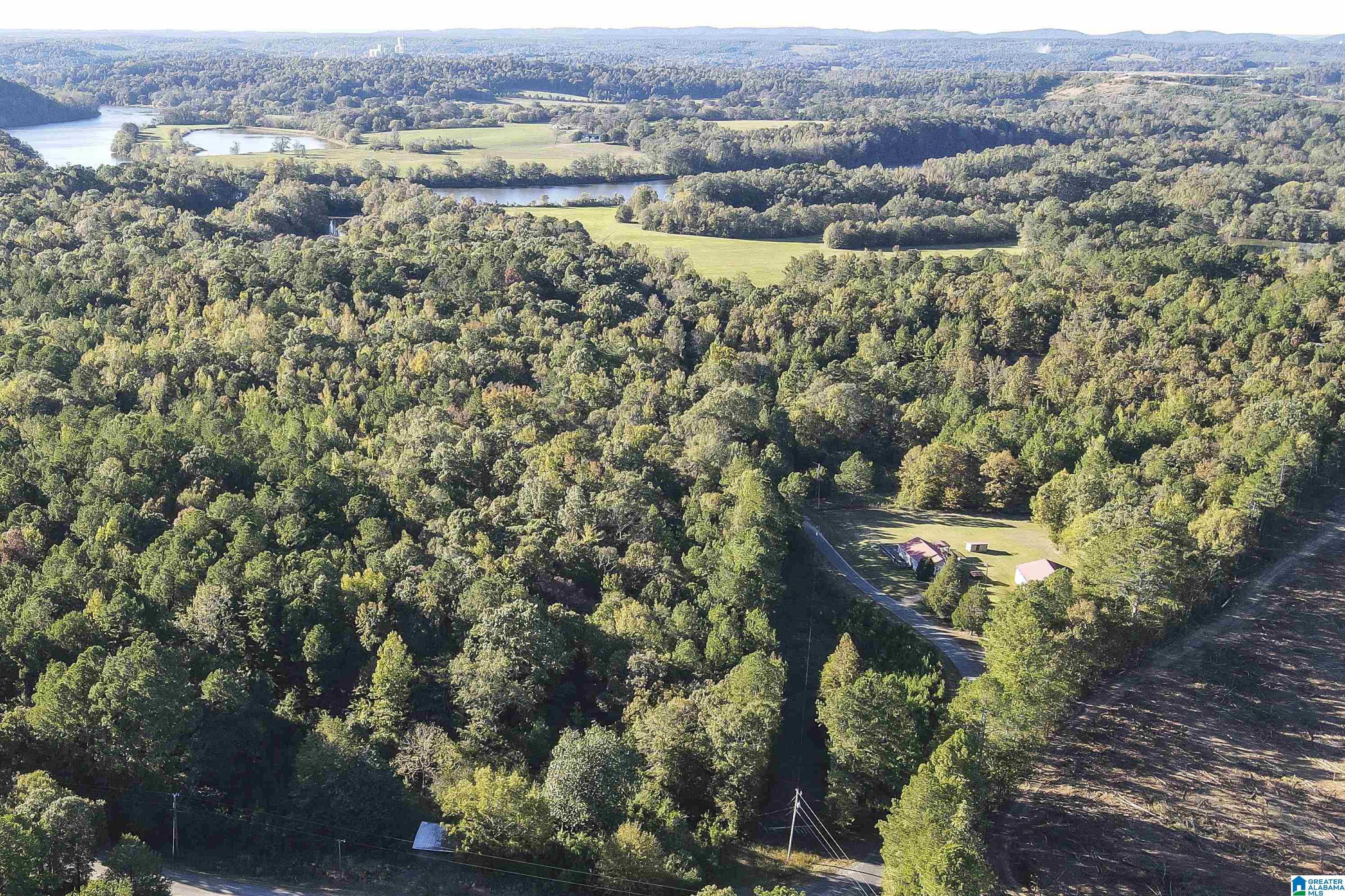 116 Fombys Ferry Road Ohatchee, AL 36271 - Photo 3 of 51 Gallery Image 3