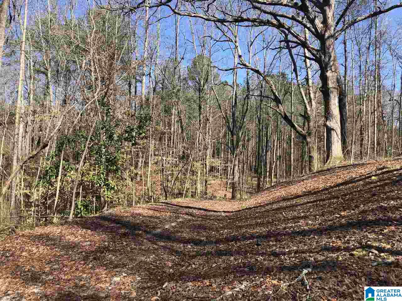 Campbell Street, Unit 1 Heflin, AL 36264 - Photo 4 of 15