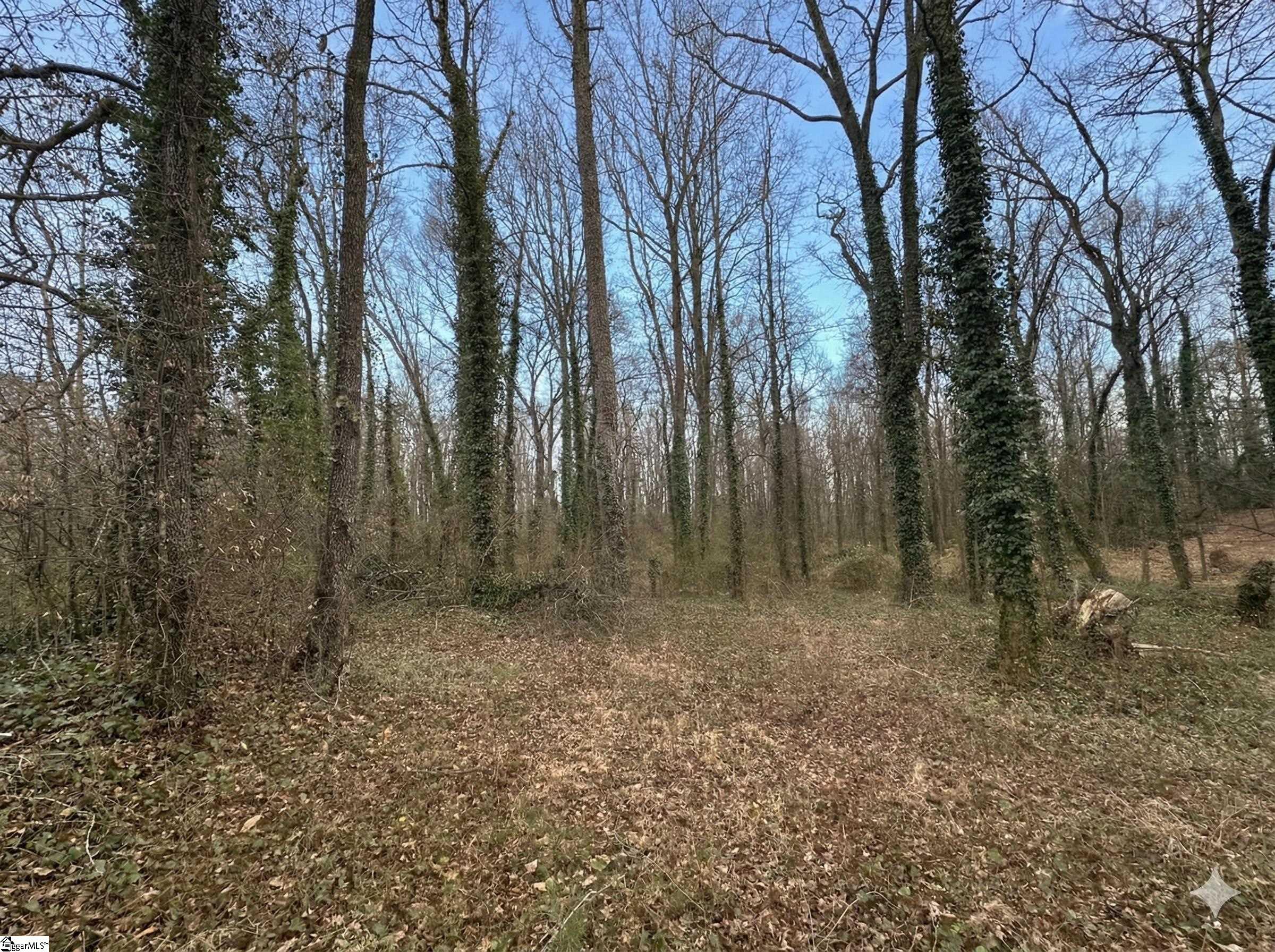 0 Red Berry Lane, Unit TRACT E Easley, SC 29642 - Photo 3 of 8