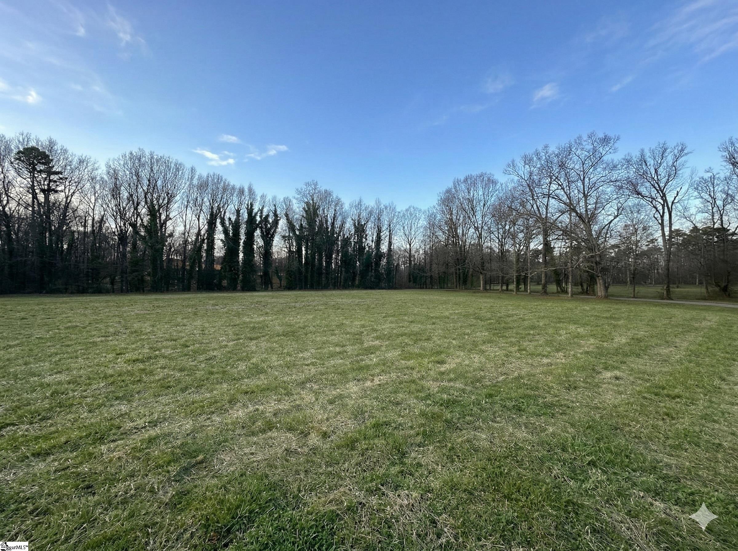 0 Red Berry Lane, Unit TRACT E Easley, SC 29642 - Photo 4 of 8