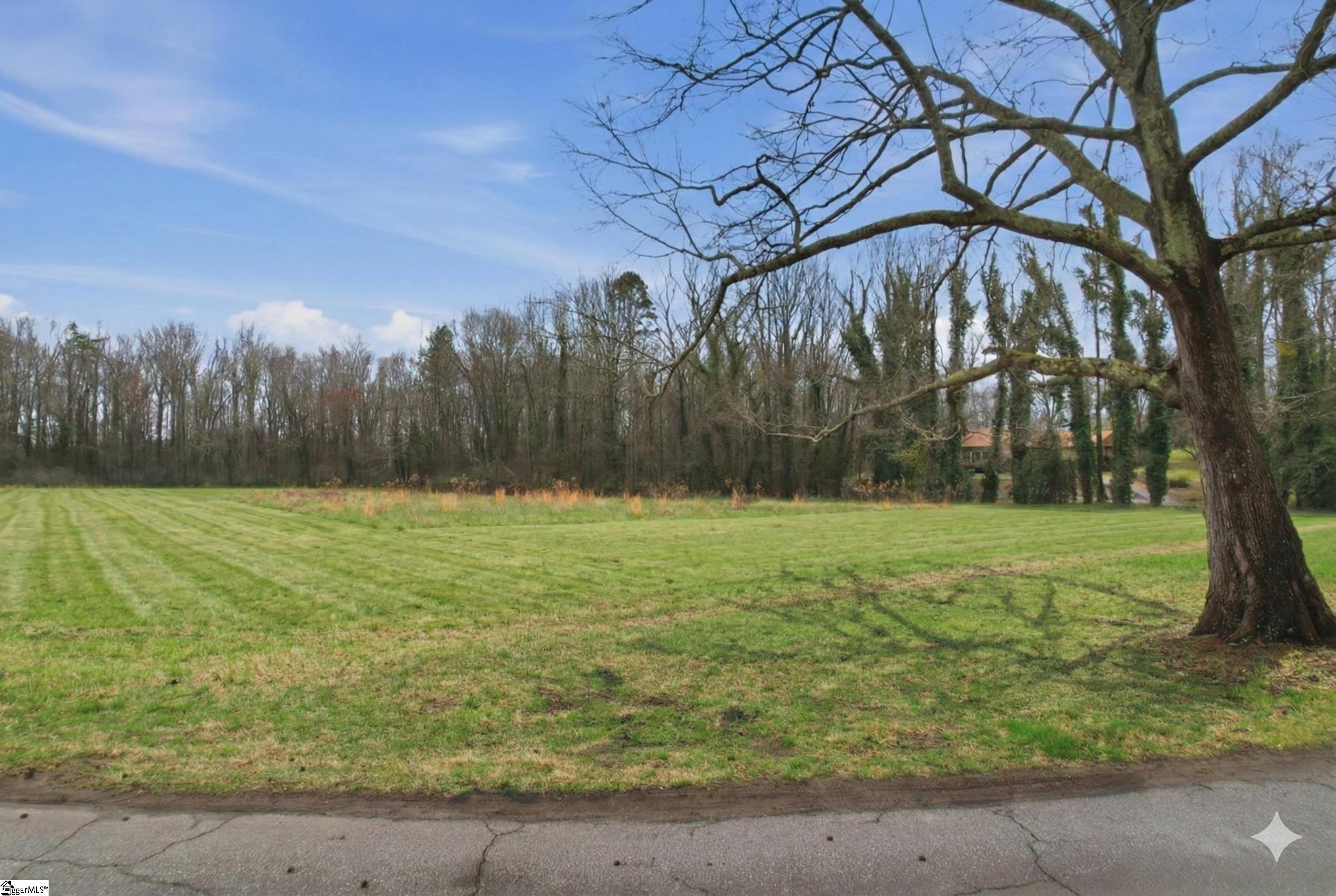 0 Red Berry Lane, Unit TRACT E Easley, SC 29642 - Photo 6 of 8