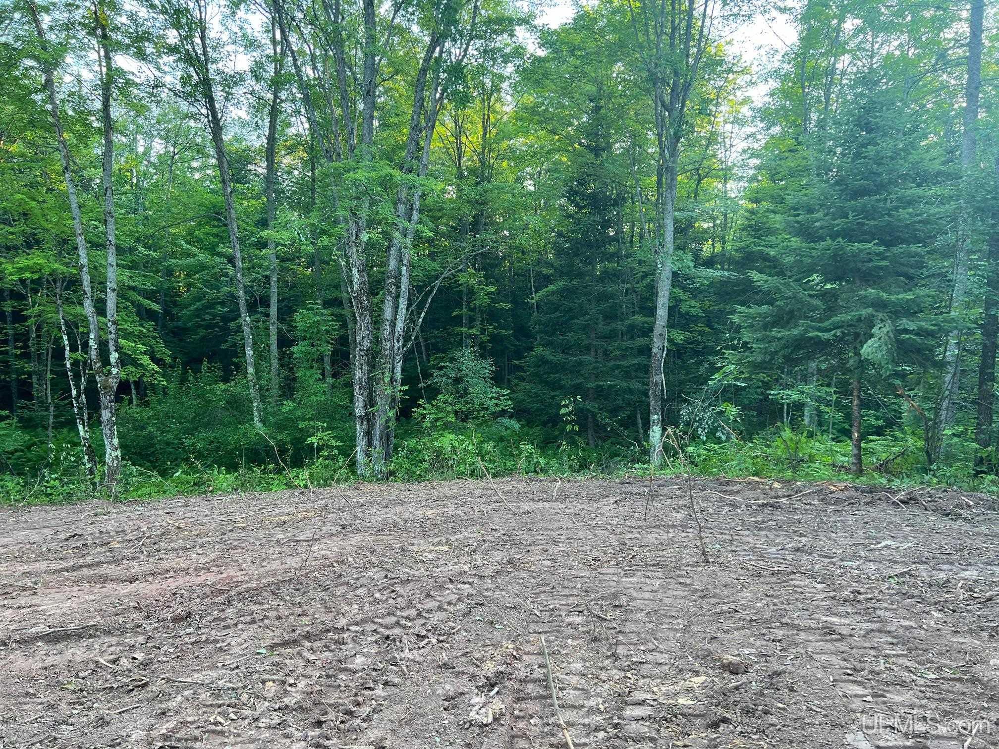 16130 Bellaire Road Baraga, MI 49908 - Photo 11 of 24