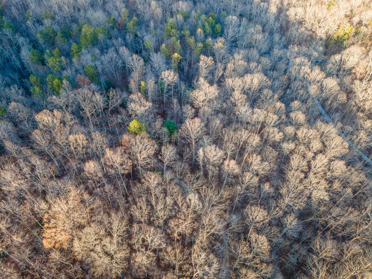 9999 West Adkins Arthur Road Somerset, KY 42501 - Photo 4 of 24 09_DJI_0626