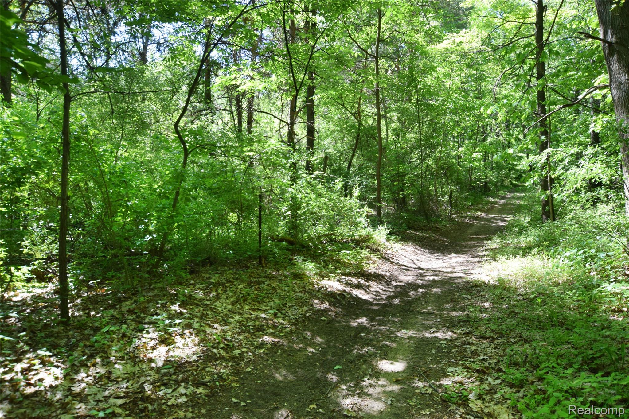 5298 Clear Lake Road North Branch, MI 48461 - Photo 43 of 44 Trails