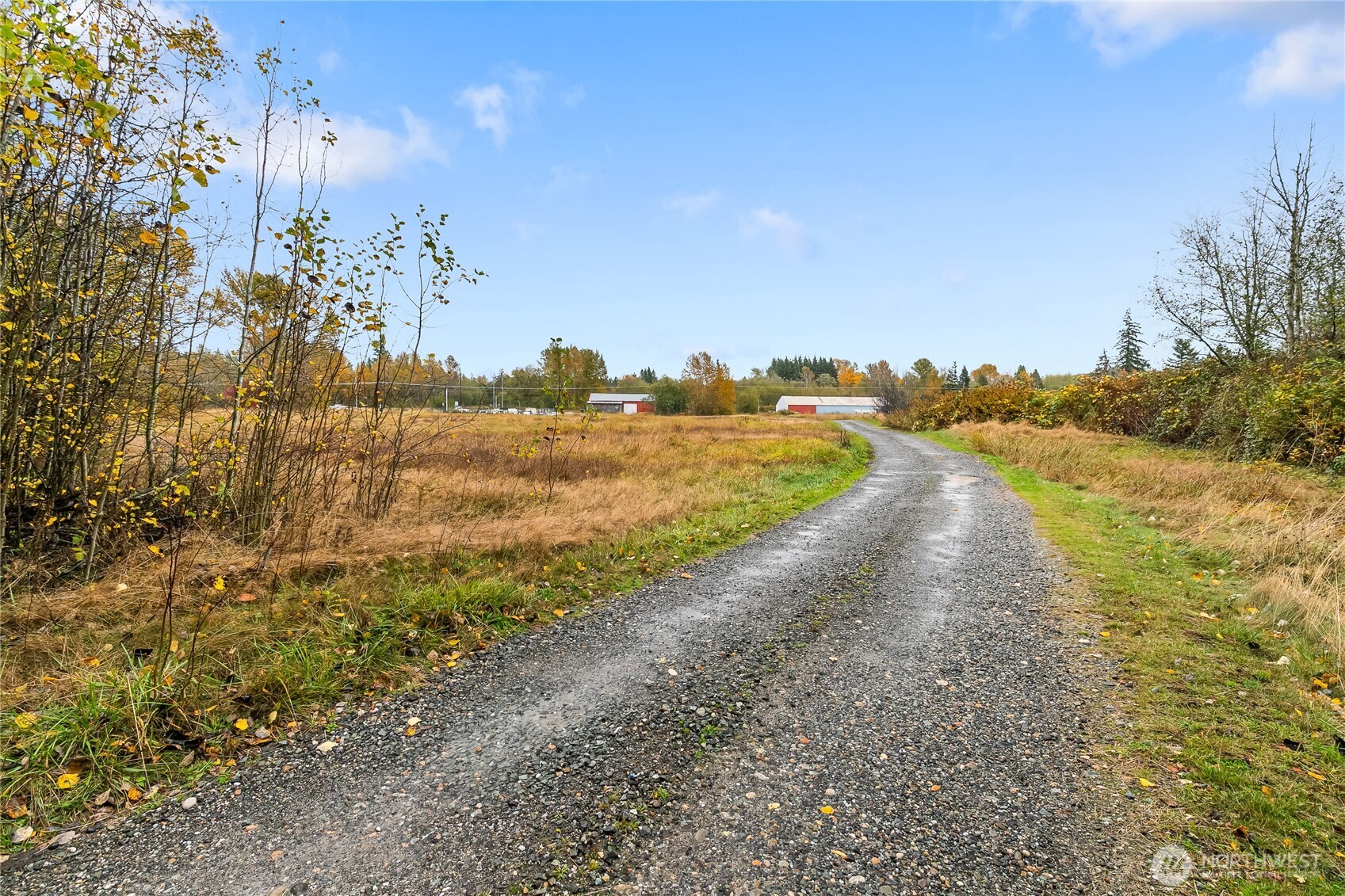 4777 Guide Meridian Bellingham, WA 98226 - Photo 5 of 34 a view of a lake with beach and big trees