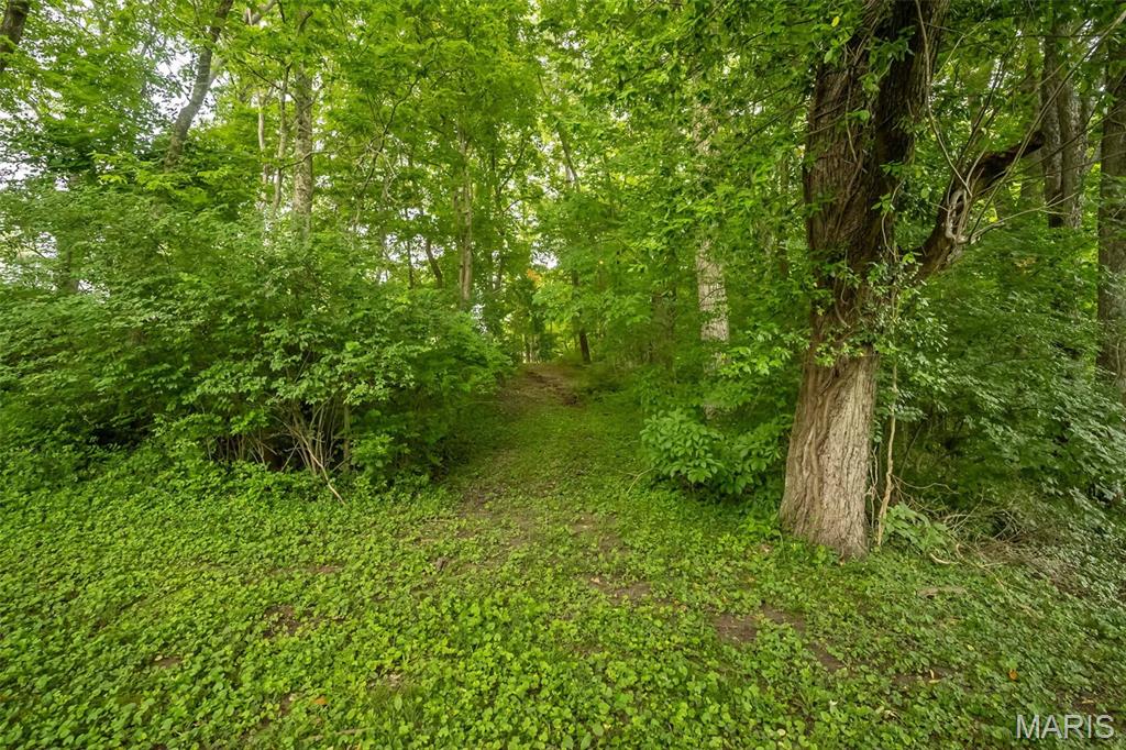 3037 Upper Moss Hollow Road Barnhart, MO 63012 - Photo 53 of 73