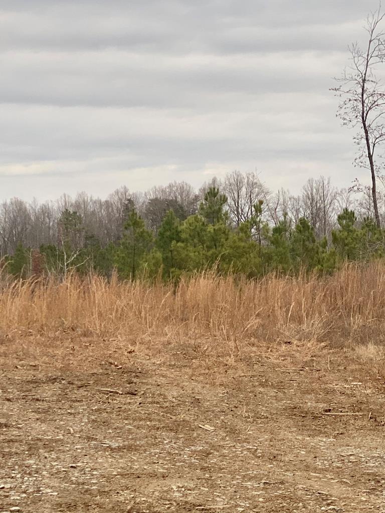 Red Road, Unit 14 Dillwyn, VA 23936 - Photo 1 of 3 Gallery Image 1
