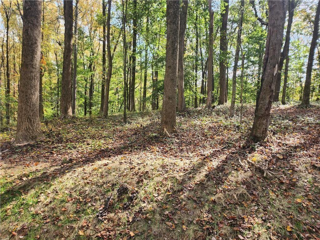 7680 East Cherokee Drive, Canton, GA 30115 Compass