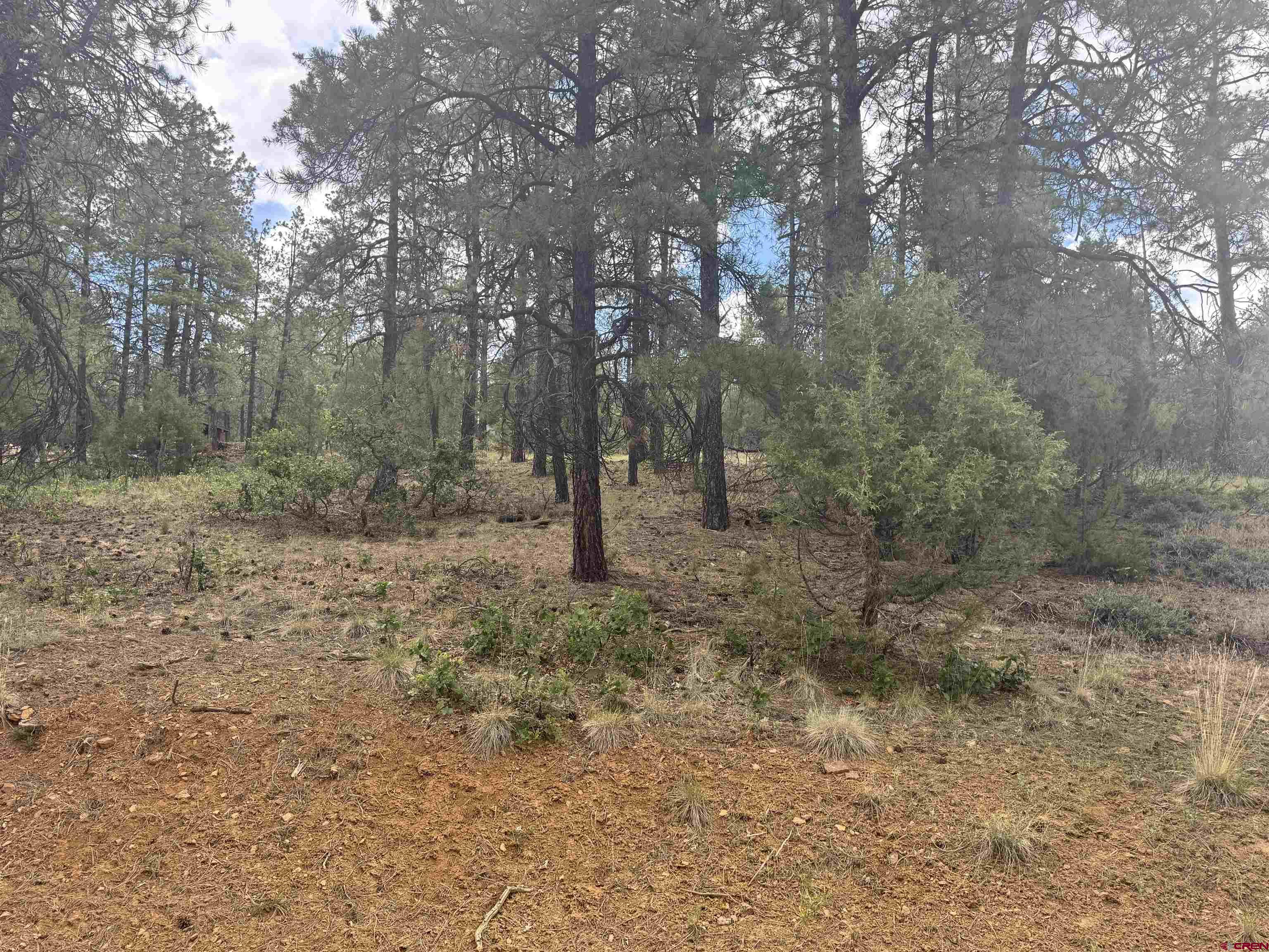 1259 Westview Road Pagosa Springs, CO 81147 - Photo 2 of 29