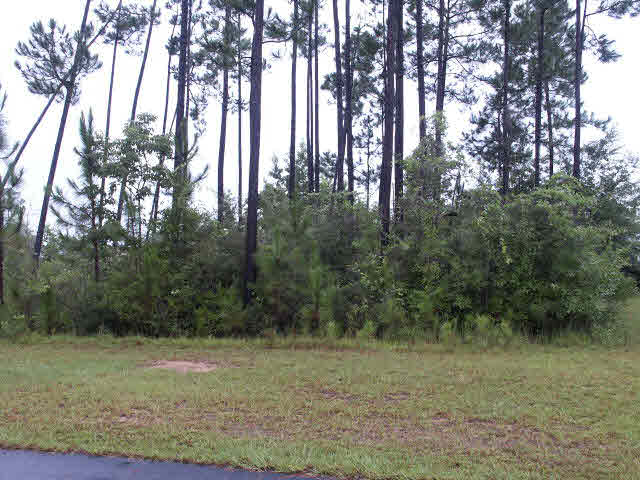 1987 South Ridgewood Street South Lillian, AL 36549 - Photo 1 of 1