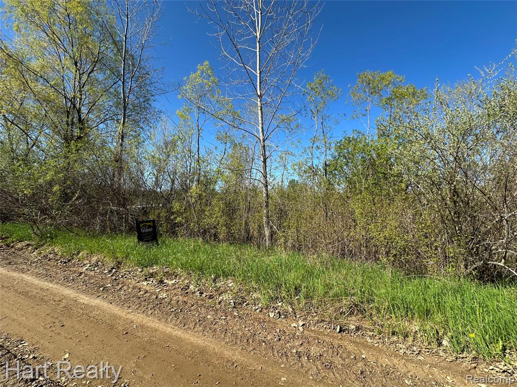13 Single Tree Circle Dryden, MI 48428 - Photo 9 of 10
