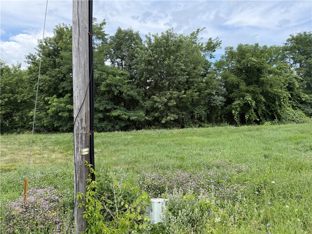 6383 Cleary Road Livonia, NY 14487 - Photo 3 of 15