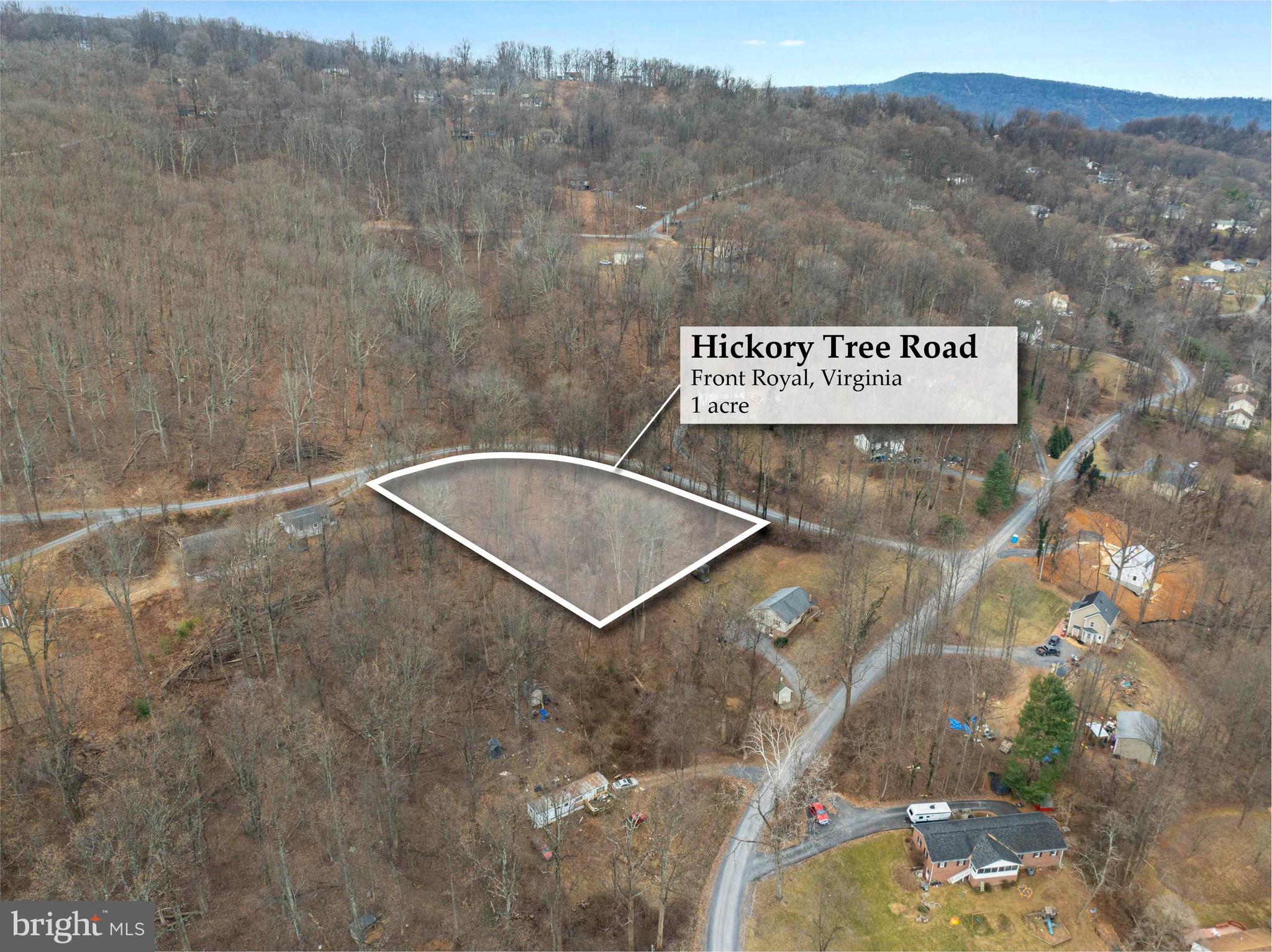 Lot 22 Hickory Tree Road Front Royal, VA 22630 - Photo 12 of 64 a view of a wall with a dry view