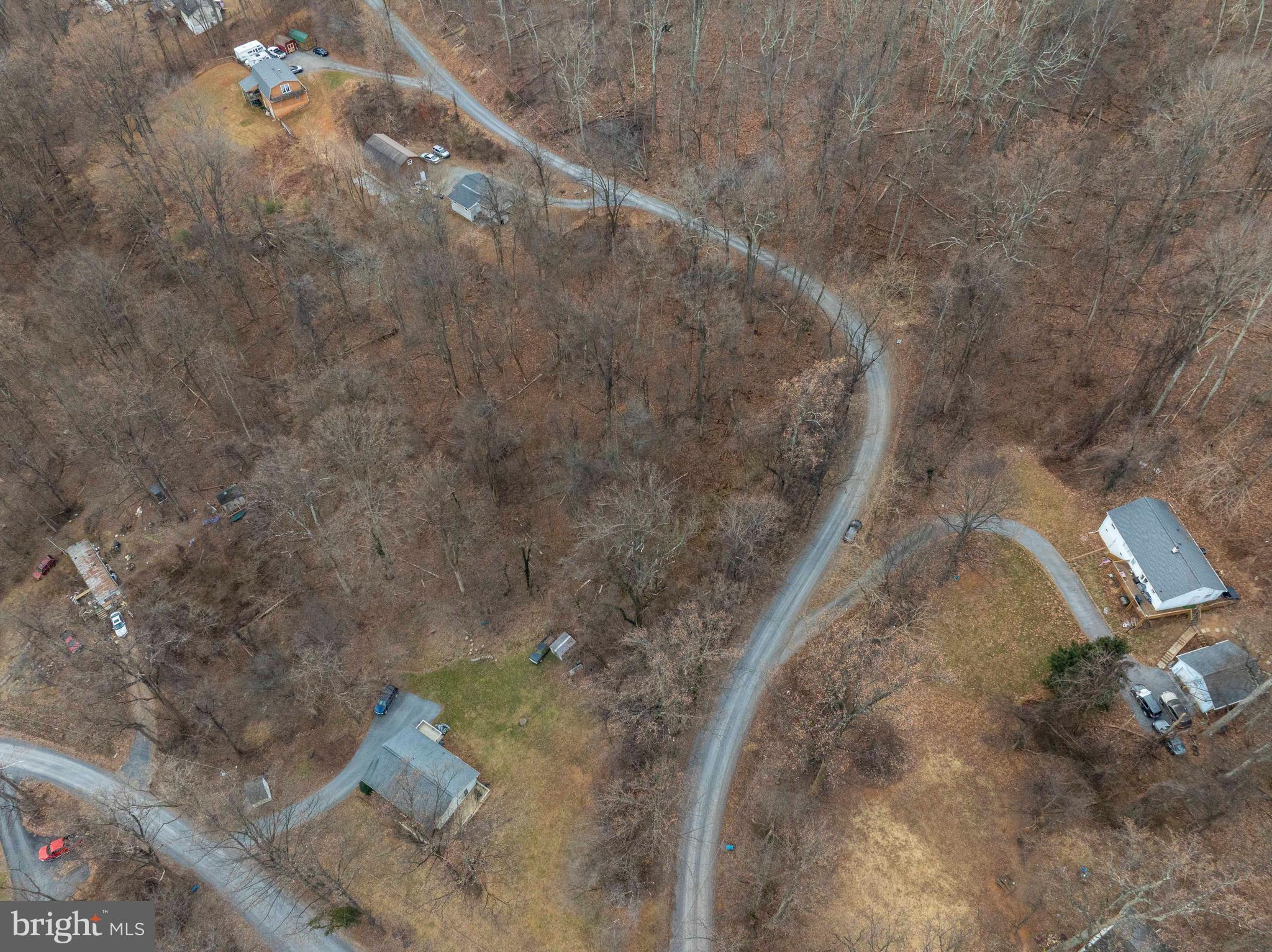 Lot 22 Hickory Tree Road Front Royal, VA 22630 - Photo 18 of 64 a view of a dry yard with lots of trees