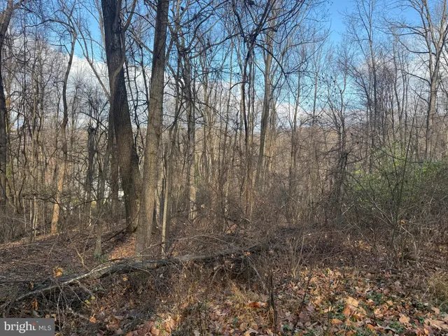 $29,900 | Lot 22 Hickory Tree Road, Front Royal, VA 22630