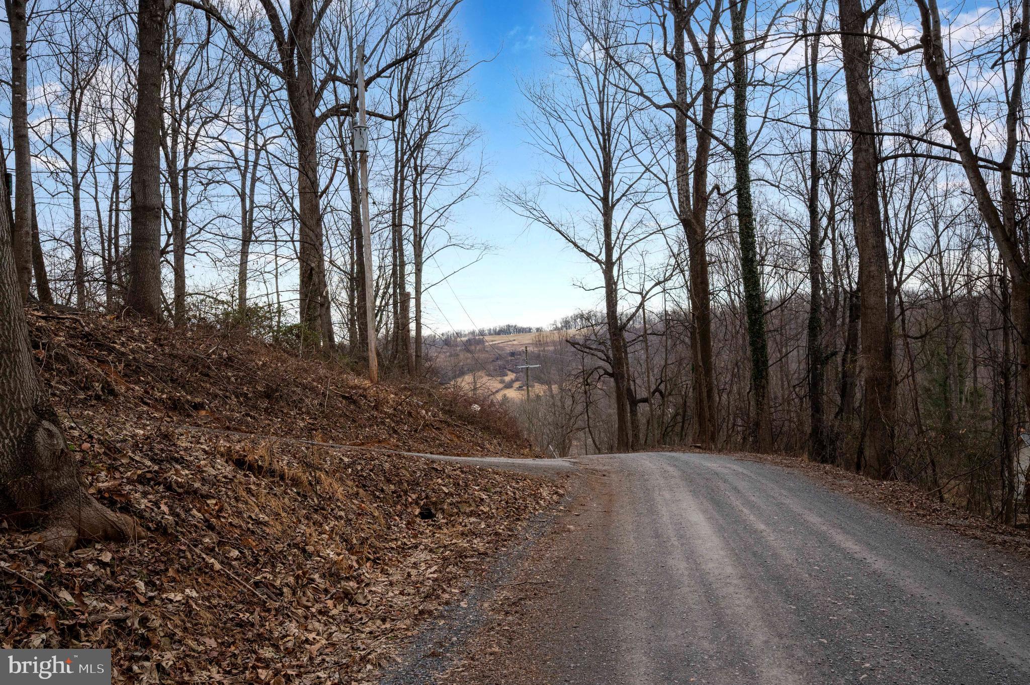 Lot 22 Hickory Tree Road Front Royal, VA 22630 - Photo 43 of 64 a view of a backyard of the house