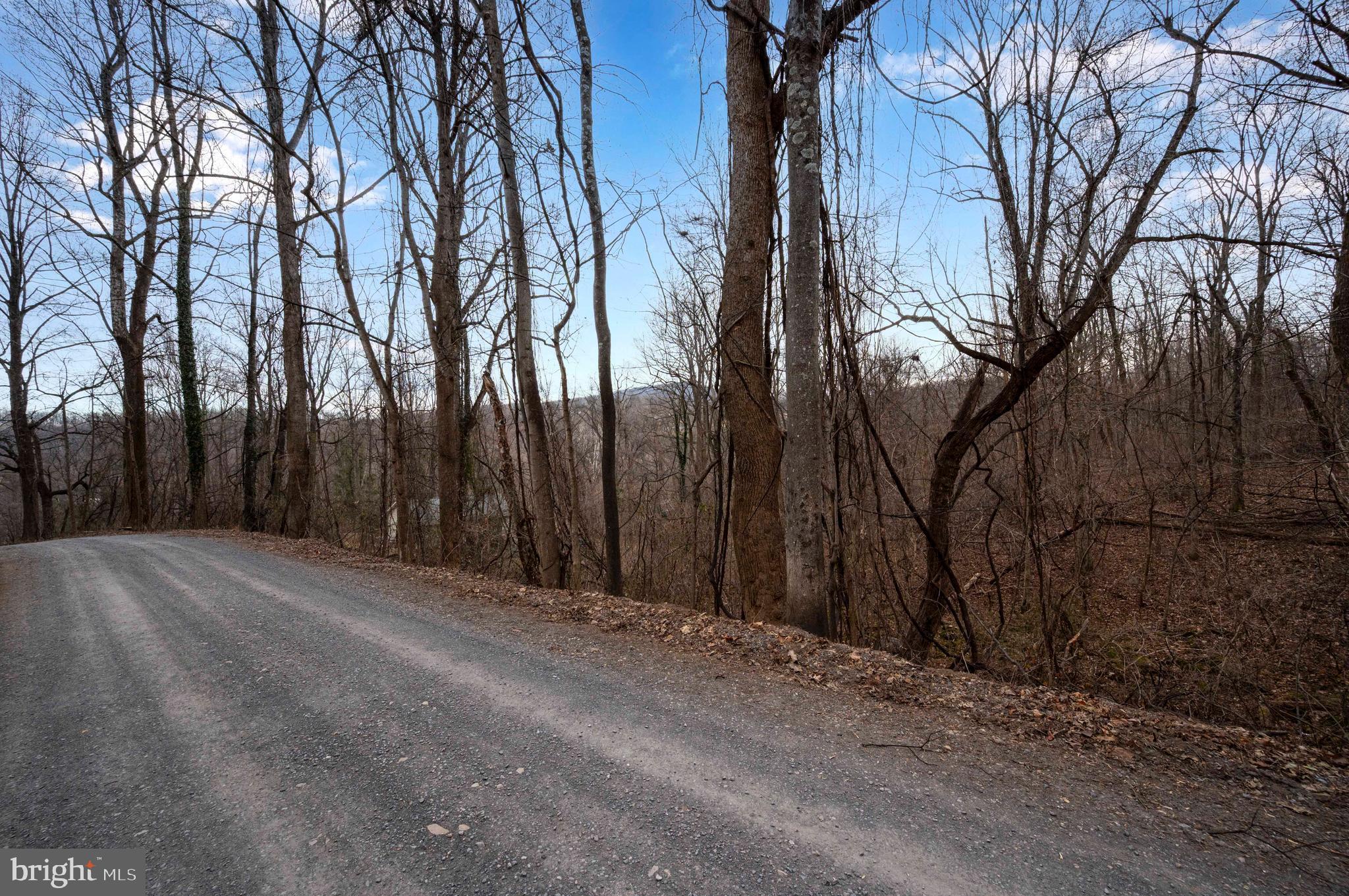 Lot 22 Hickory Tree Road Front Royal, VA 22630 - Photo 45 of 64 a view of a backyard of the house