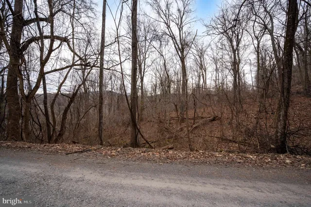 $29,900 | Lot 22 Hickory Tree Road, Front Royal, VA 22630