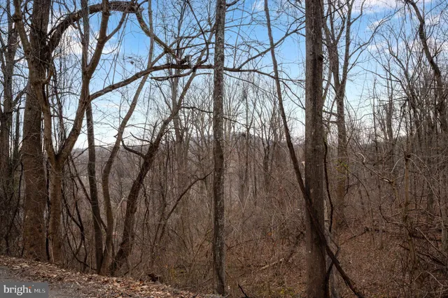 $29,900 | Lot 22 Hickory Tree Road, Front Royal, VA 22630