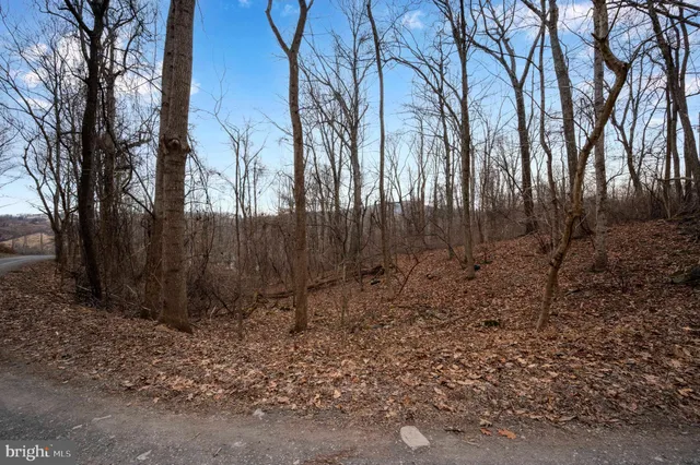 $29,900 | Lot 22 Hickory Tree Road, Front Royal, VA 22630