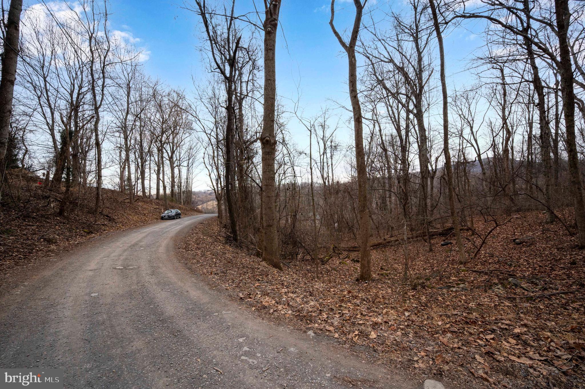 Lot 22 Hickory Tree Road Front Royal, VA 22630 - Photo 49 of 64 a view of backyard with green space