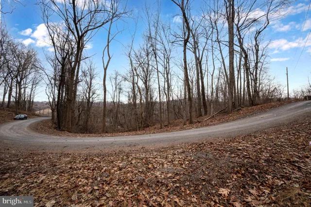 $29,900 | Lot 22 Hickory Tree Road, Front Royal, VA 22630