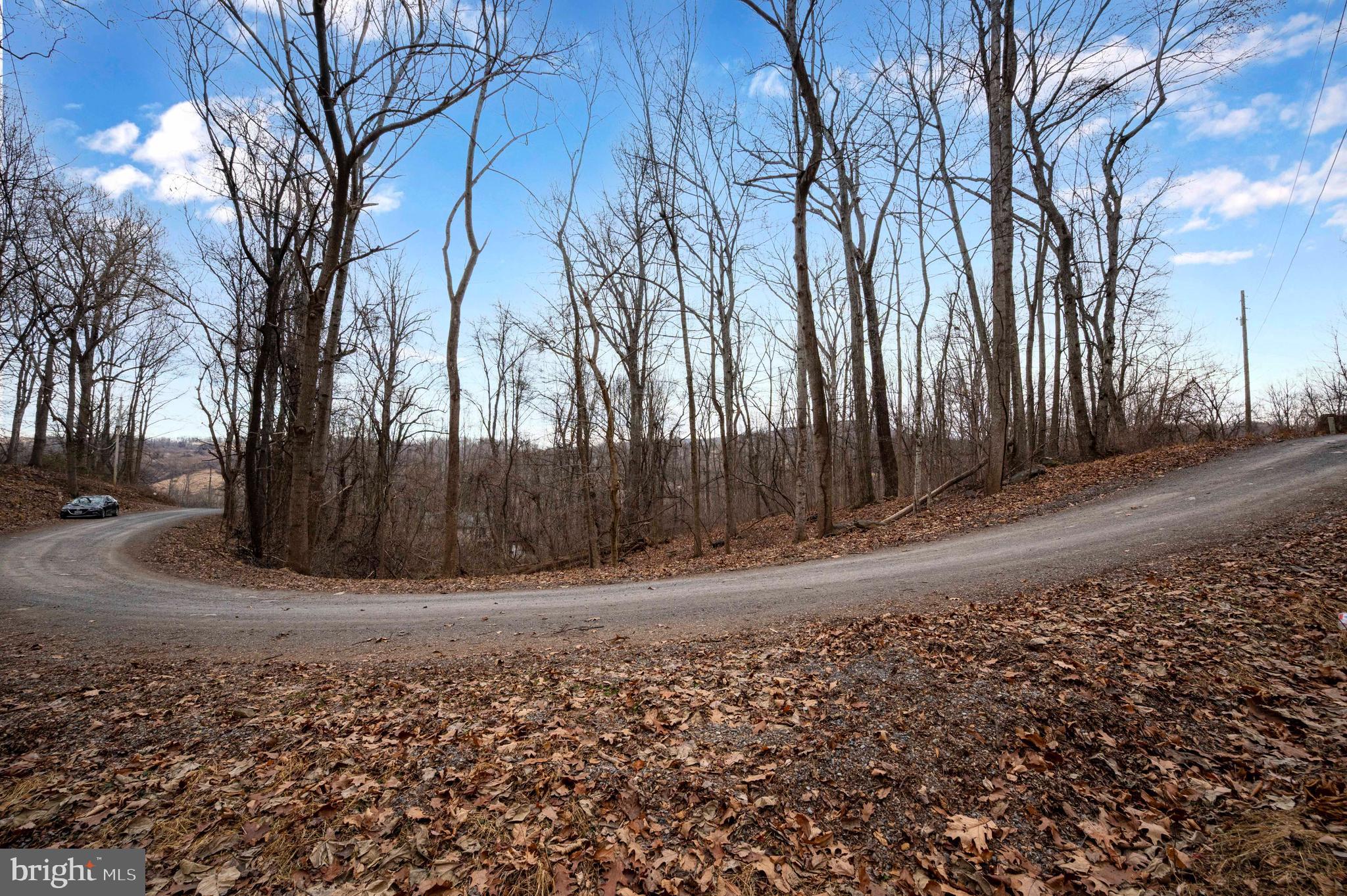 Lot 22 Hickory Tree Road Front Royal, VA 22630 - Photo 50 of 64 a view of a yard with trees