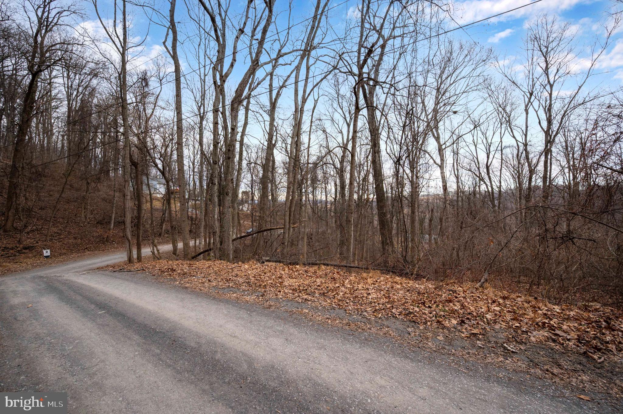 Lot 22 Hickory Tree Road Front Royal, VA 22630 - Photo 51 of 64 a backyard of a house with large trees