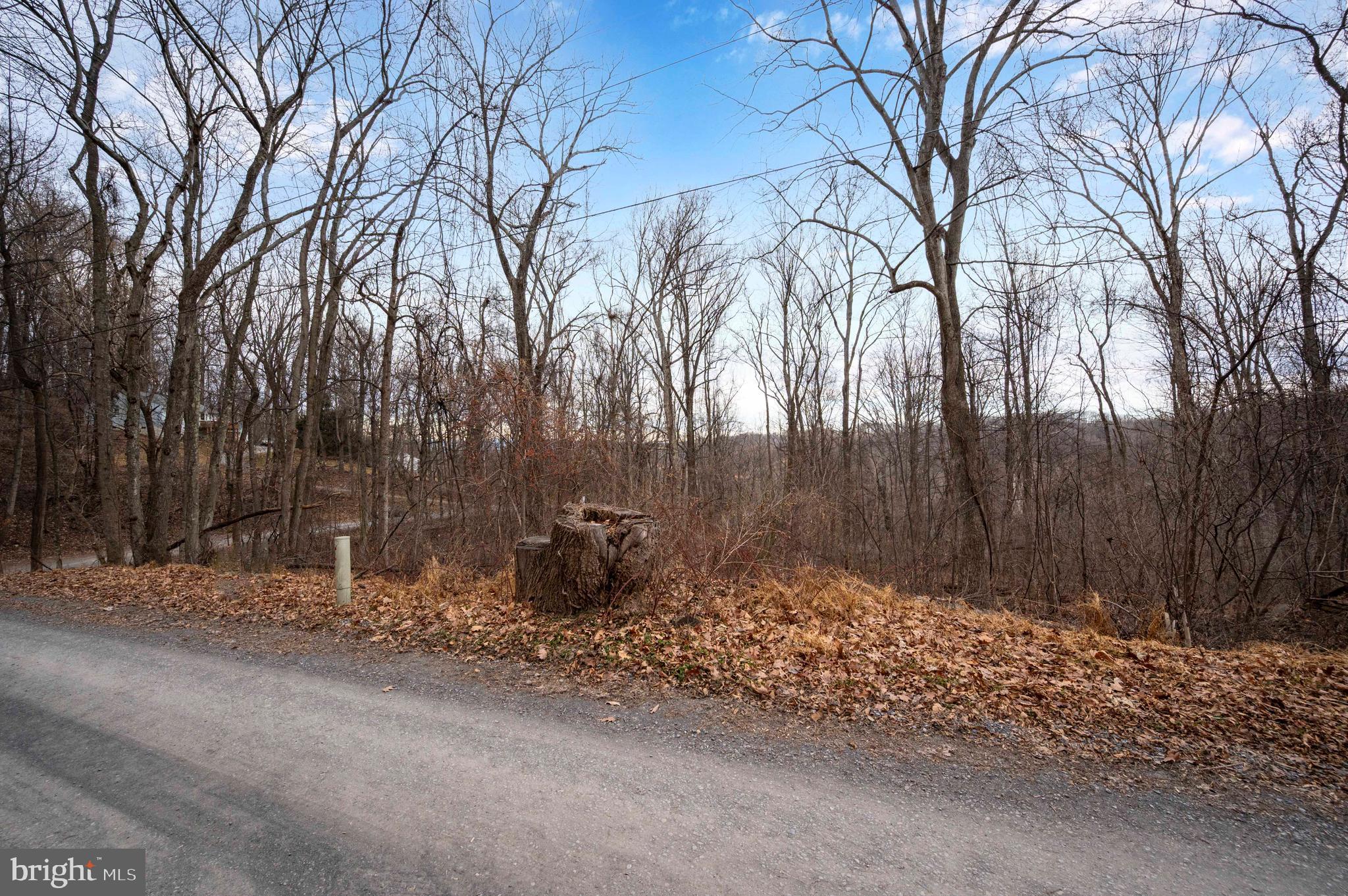 Lot 22 Hickory Tree Road Front Royal, VA 22630 - Photo 52 of 64 a backyard of a house with lots of green space