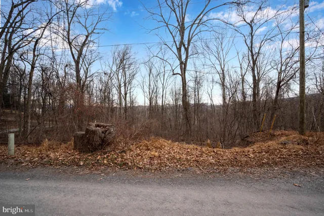 $29,900 | Lot 22 Hickory Tree Road, Front Royal, VA 22630