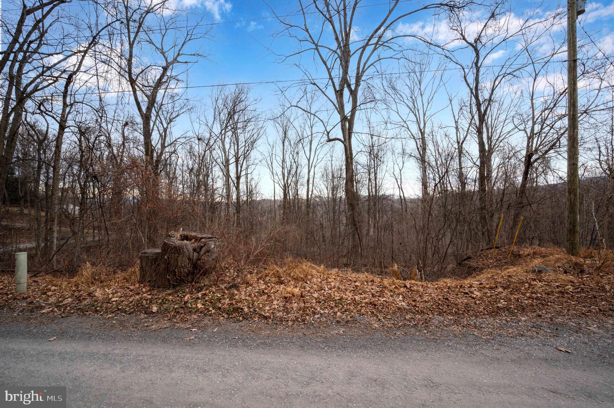Lot 22 Hickory Tree Road Front Royal, VA 22630 - Photo 53 of 64 a view of backyard and tree