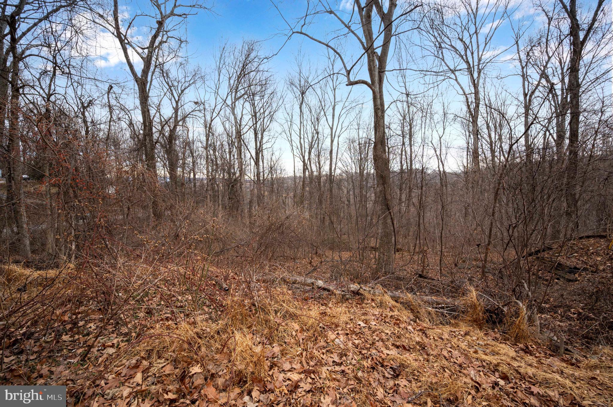 Lot 22 Hickory Tree Road Front Royal, VA 22630 - Photo 54 of 64 a view of backyard with tree