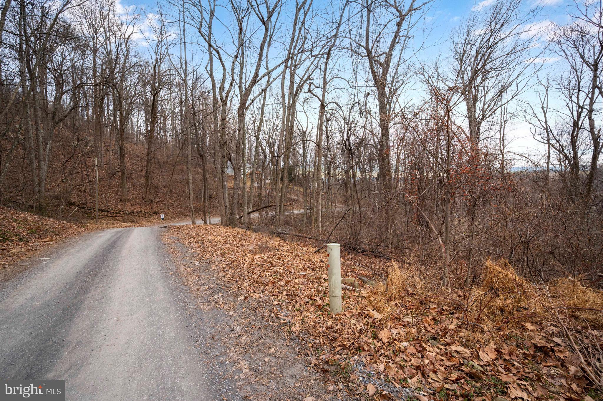 Lot 22 Hickory Tree Road Front Royal, VA 22630 - Photo 55 of 64 a view of a yard with trees