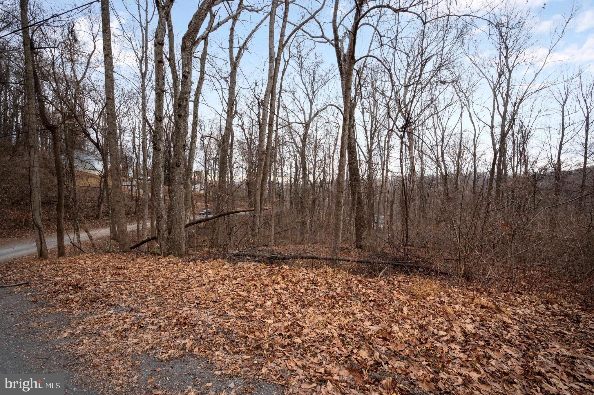 Lot 22 Hickory Tree Road Front Royal, VA 22630 - Photo 56 of 64 a view of wooden fence