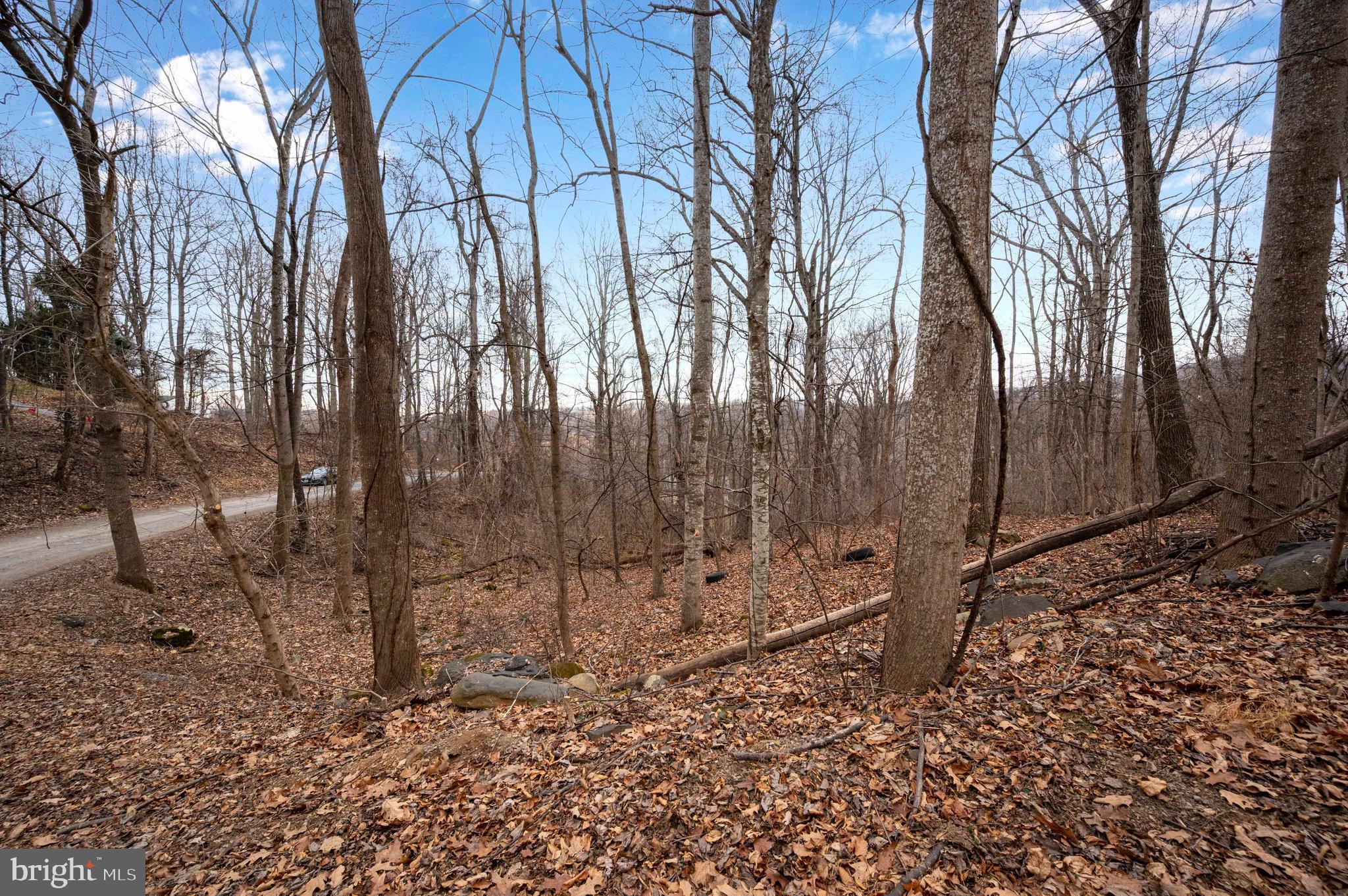 Lot 22 Hickory Tree Road Front Royal, VA 22630 - Photo 57 of 64 a backyard of a house with lots of green space