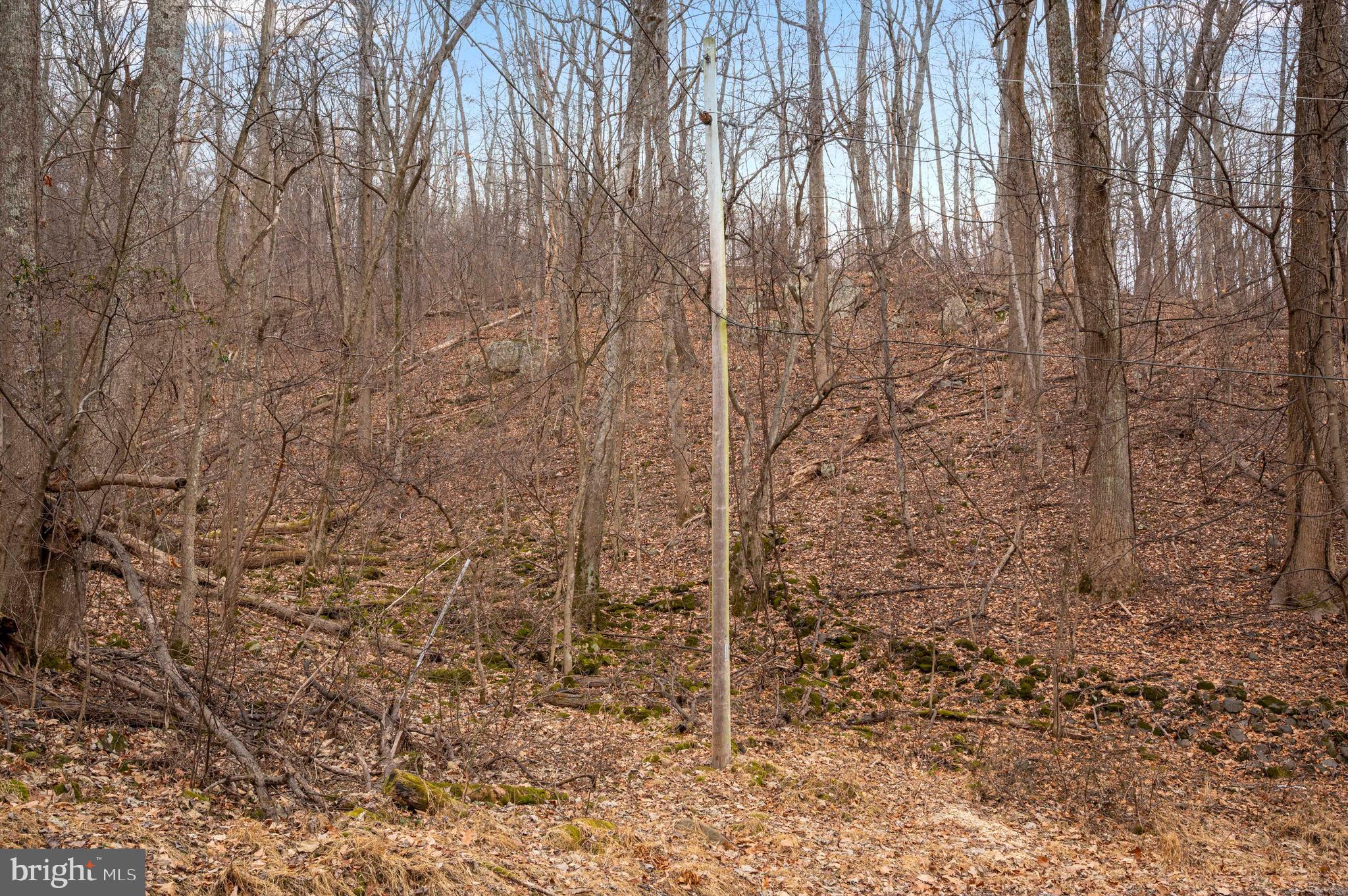 Lot 22 Hickory Tree Road Front Royal, VA 22630 - Photo 58 of 64