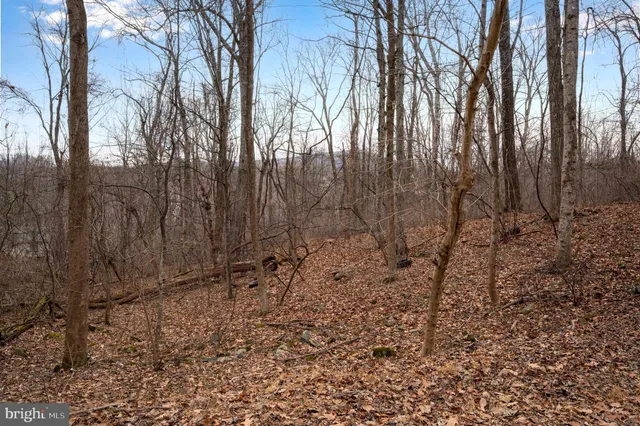 $29,900 | Lot 22 Hickory Tree Road, Front Royal, VA 22630
