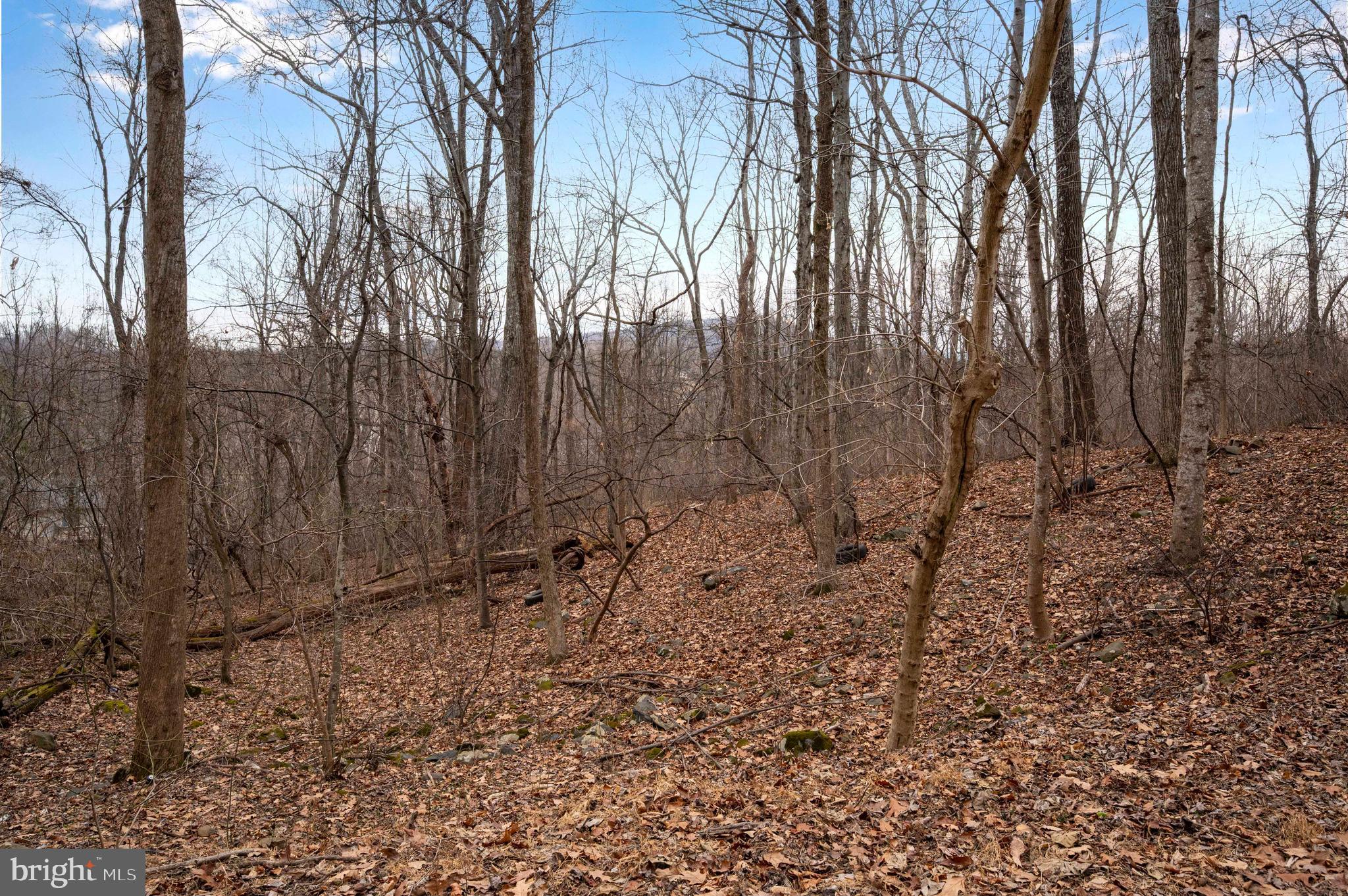 Lot 22 Hickory Tree Road Front Royal, VA 22630 - Photo 59 of 64 a view of a yard with trees in the background