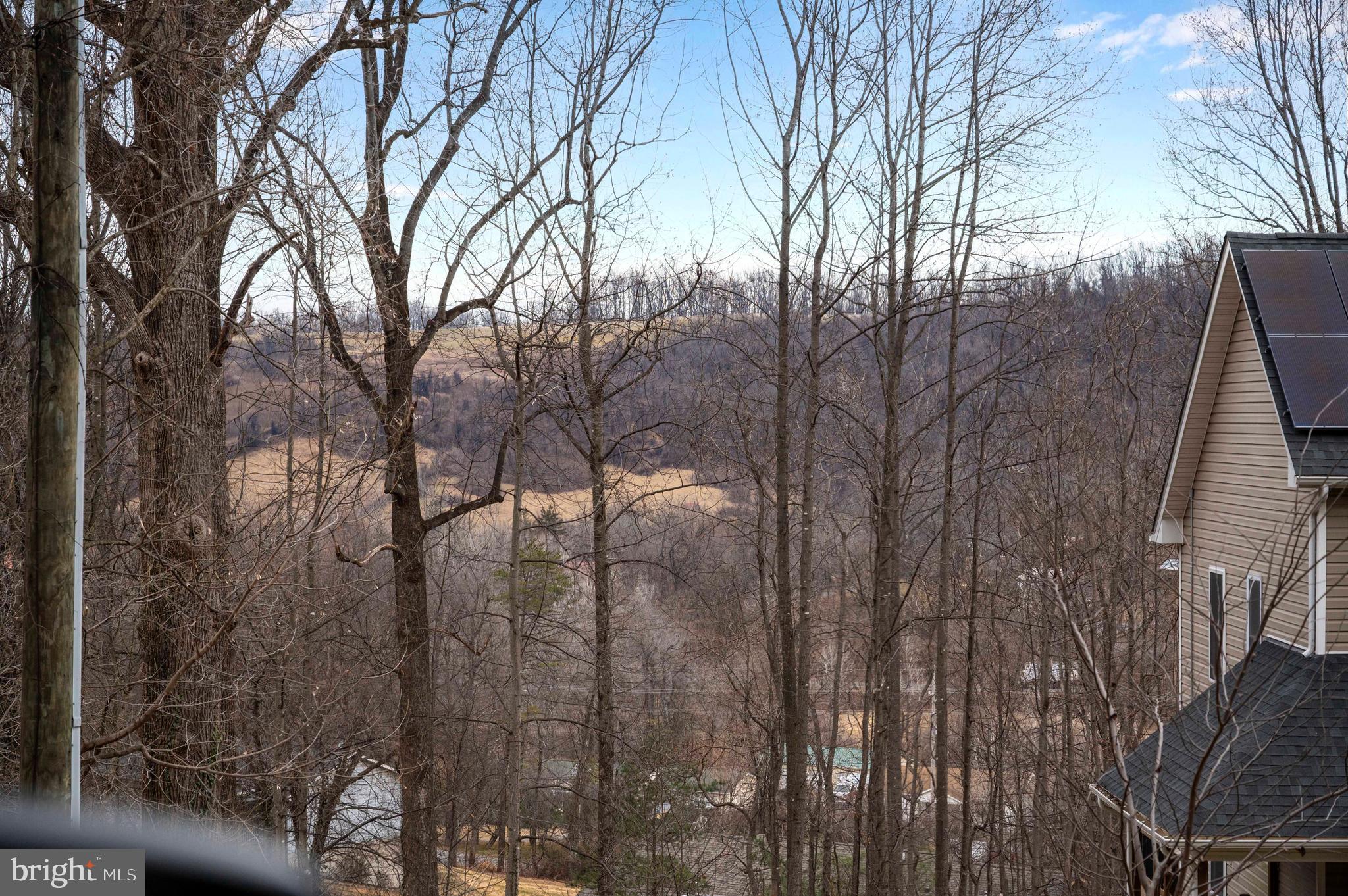 Lot 22 Hickory Tree Road Front Royal, VA 22630 - Photo 60 of 64 a view of a yard