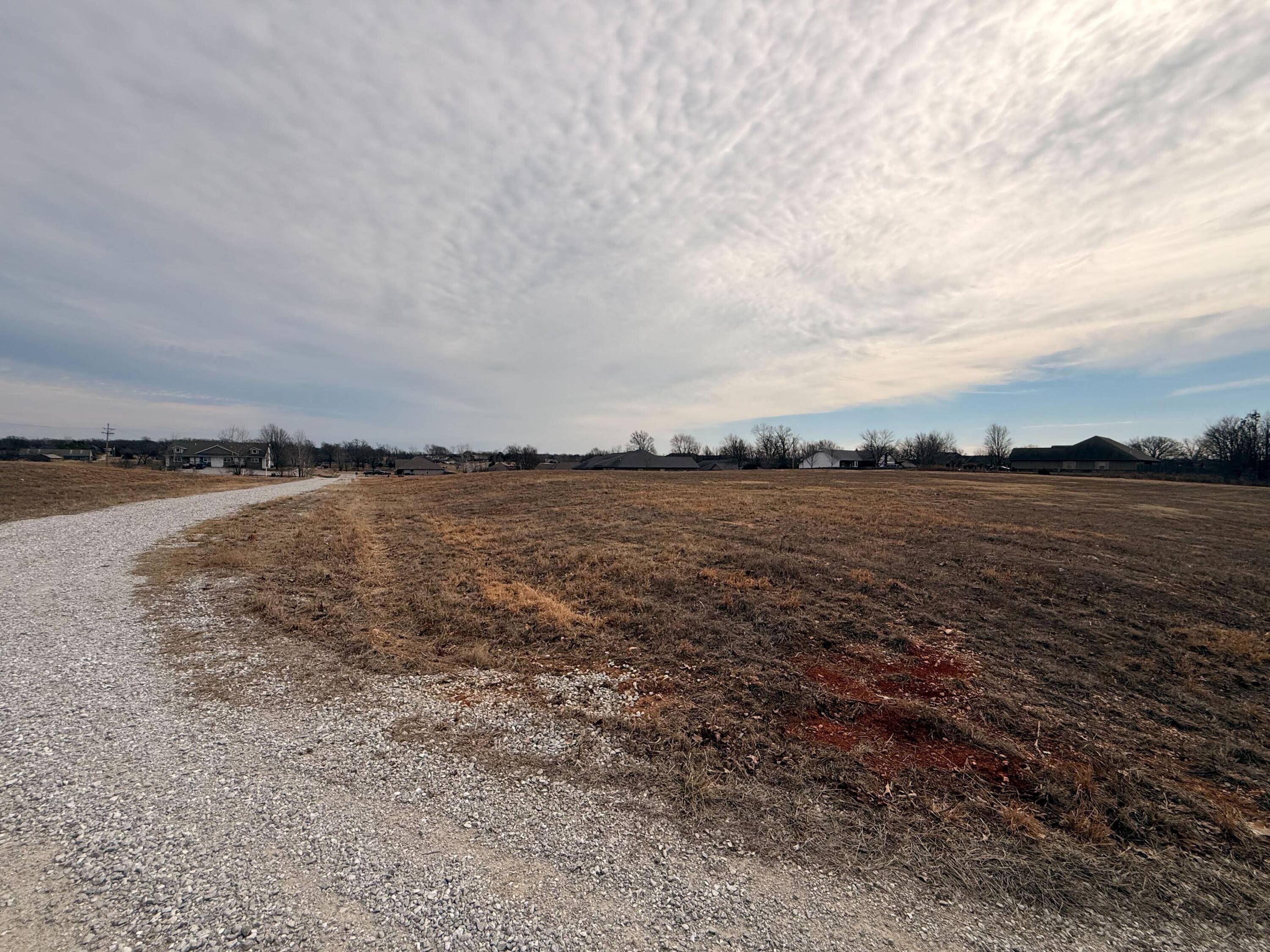 0 Raintree Circle Joplin, MO 64804 - Photo 12 of 26 IMG_8679