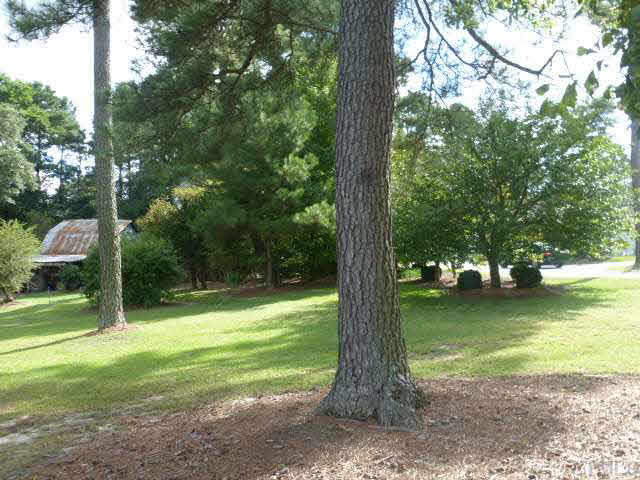 80 Ebenezer Church Road Coats, NC 27521 - Photo 8 of 25 Gallery Image 8