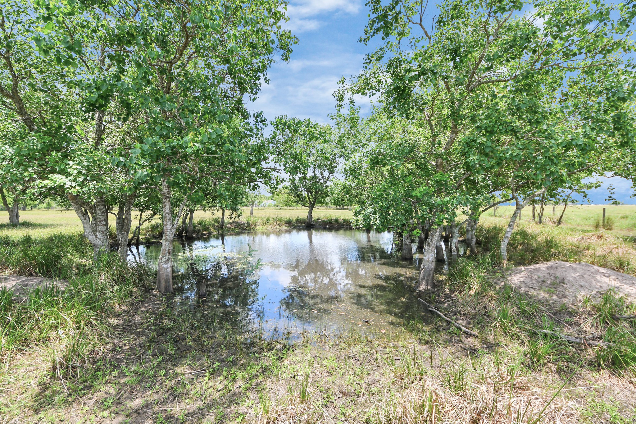 9832 Providence Road Needville, TX 77461 - Photo 35 of 41